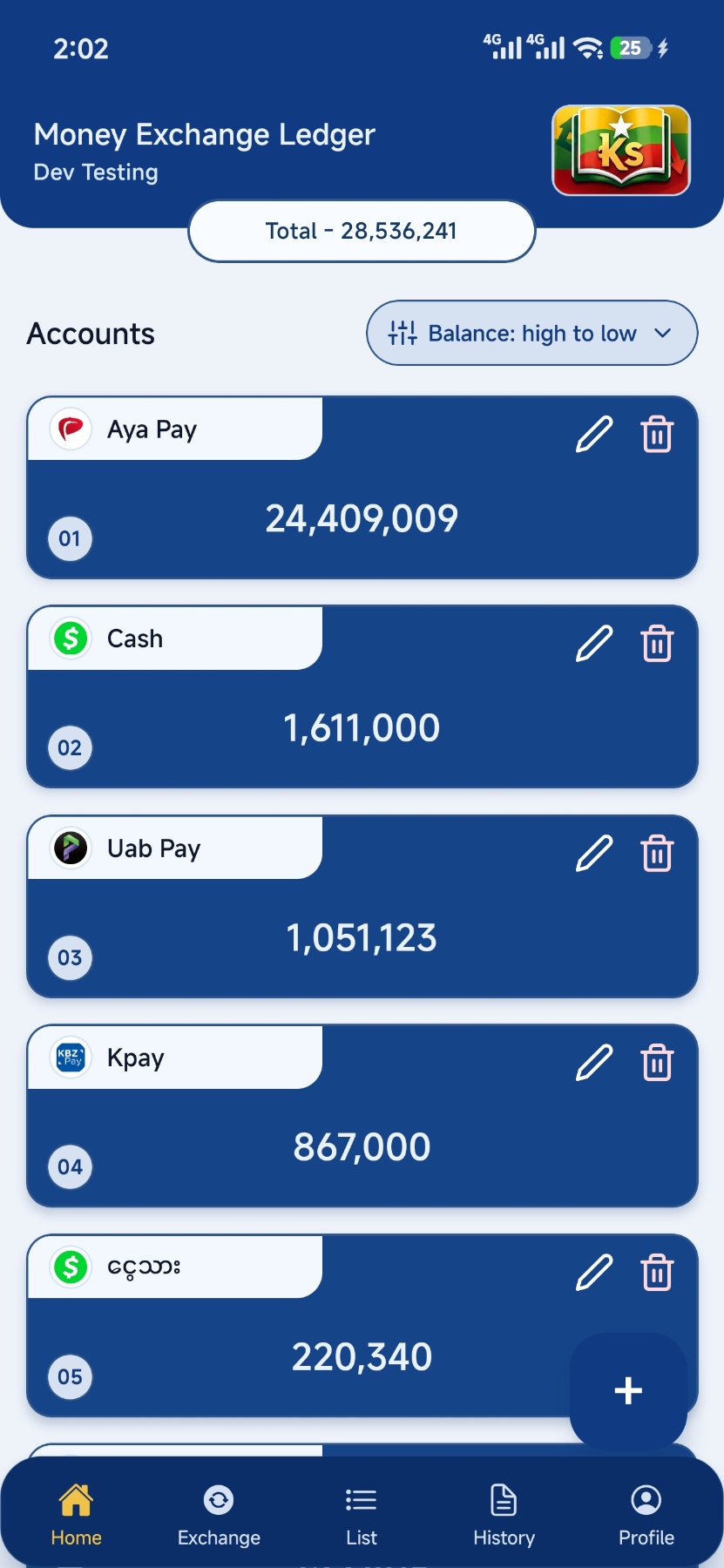 Accounts balance list screen